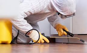 Best Real Estate Pest Inspections  in Dandridge, TN